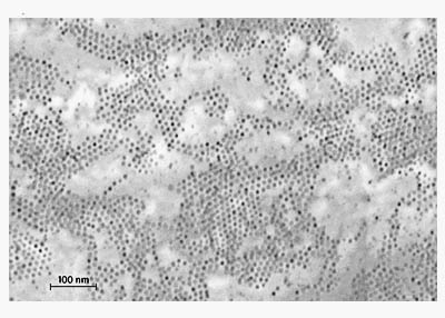 Kobalt-Nanopartikel Monolayer-Dispersion